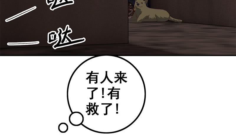 第79话 他再厉害又能怎样？19