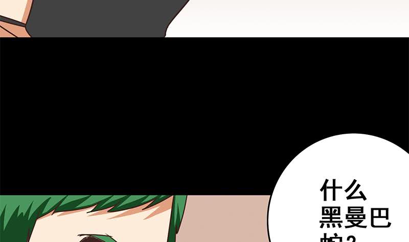 第96话 黑曼巴蛇？9