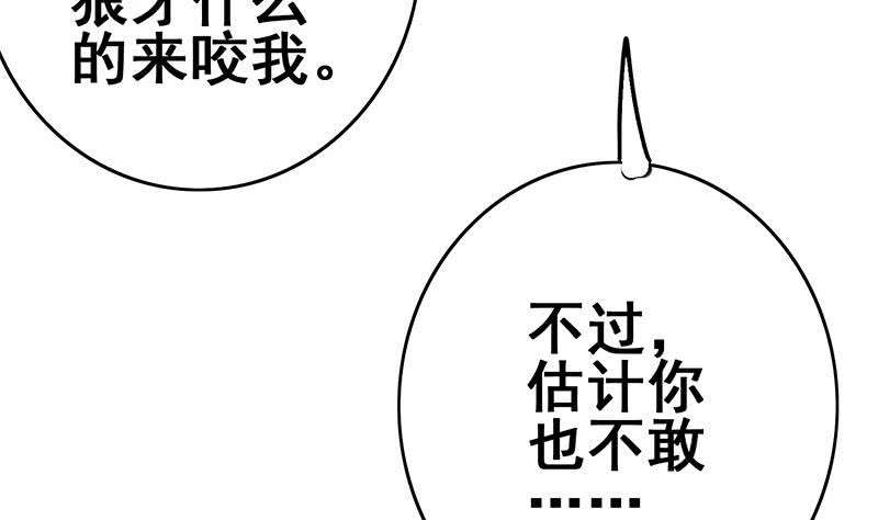 第149话 玩儿命4