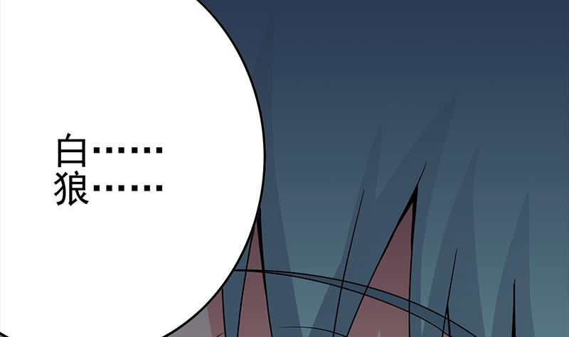 第229话 白狼晕倒36