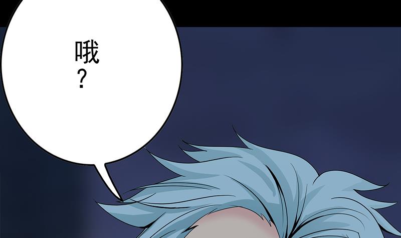 第229话 白狼晕倒58