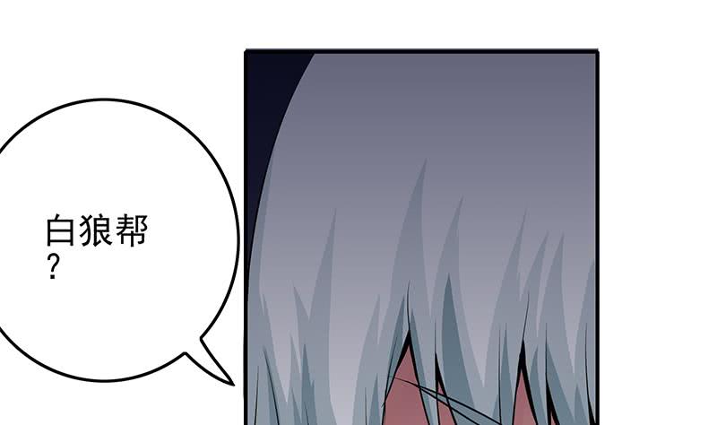 第235话 白狼帮45