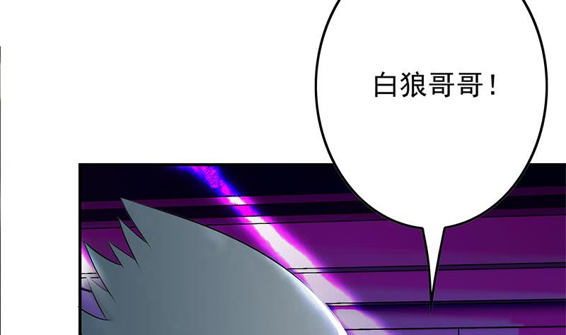第242话 相见15