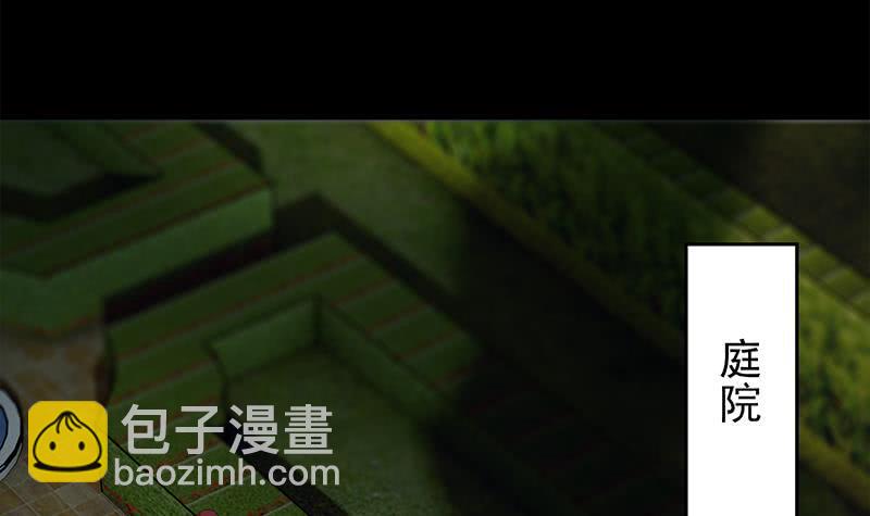 第245话 赴约阿尔贝44