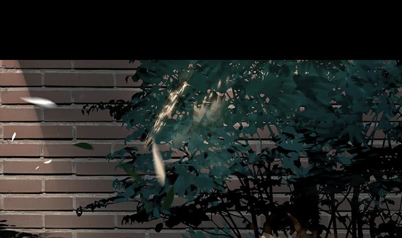 第247话 直接打一架72