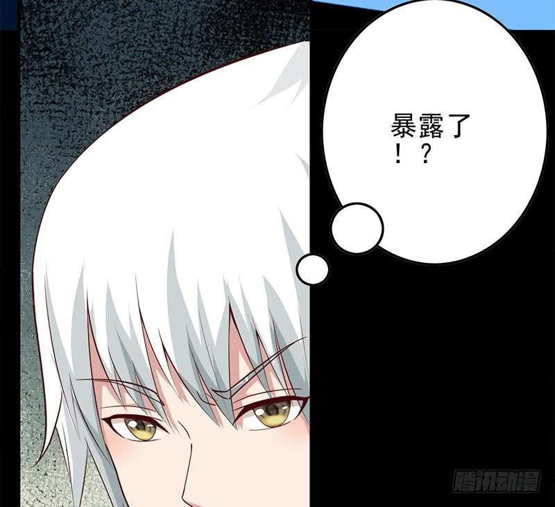 第254话 协助48