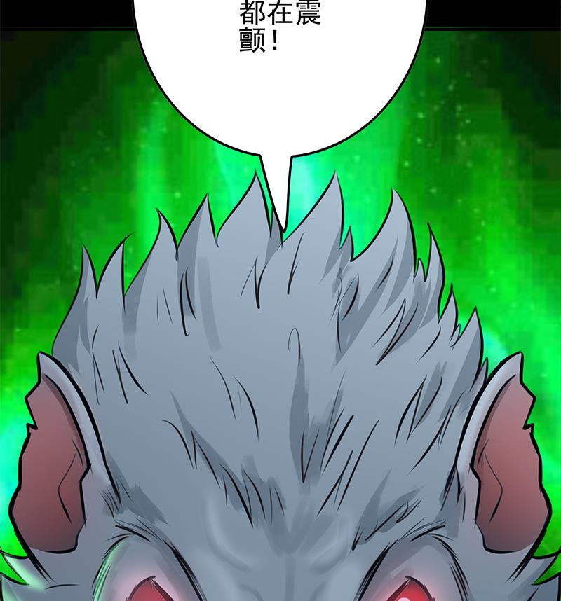 第262话 脑髓都在震颤97