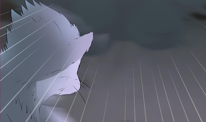 第264话 破绽32
