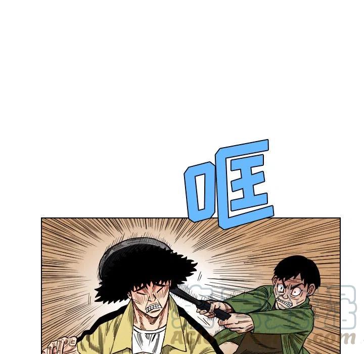 3955