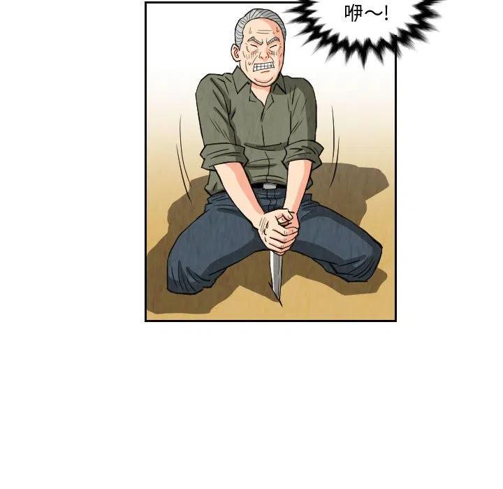 7954
