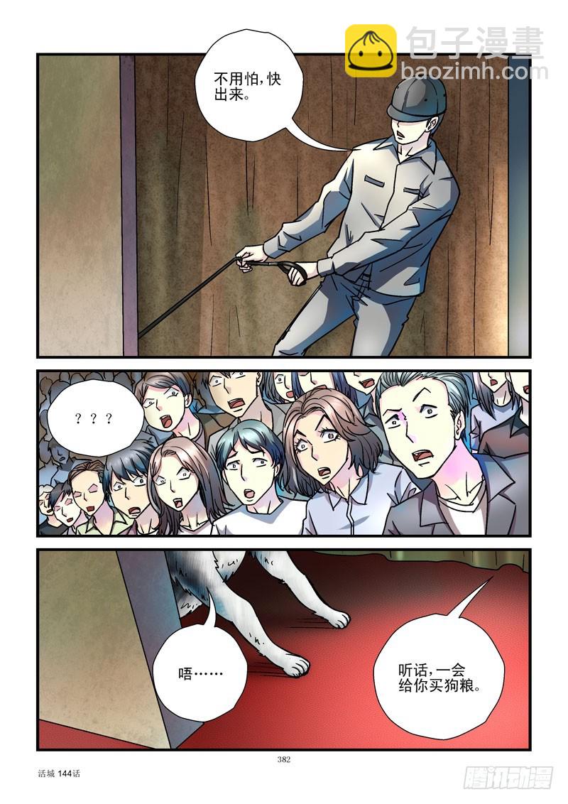 144,汪星人2