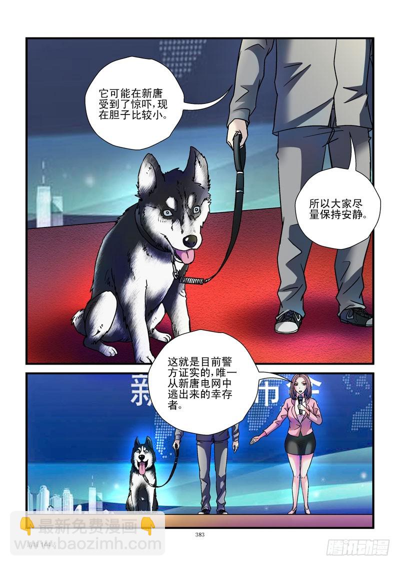 144,汪星人3