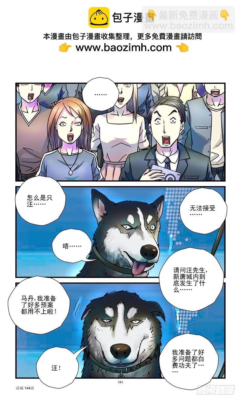 144,汪星人4