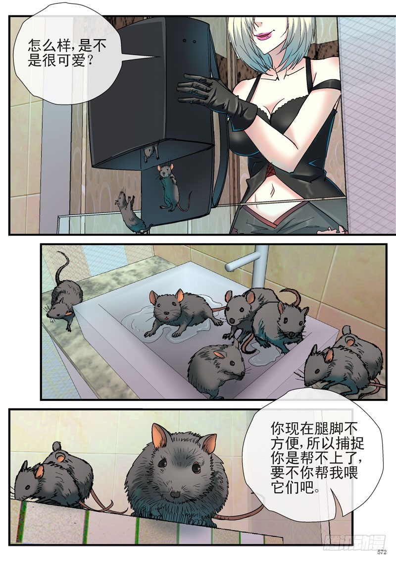 各自的行动11