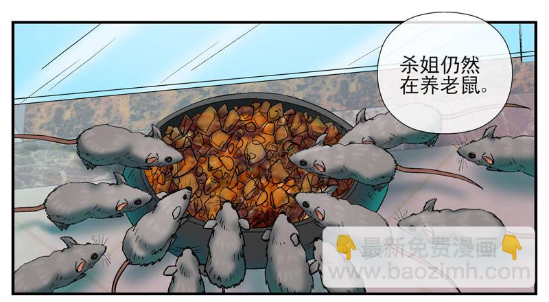 动乱世界与平静杀城组22