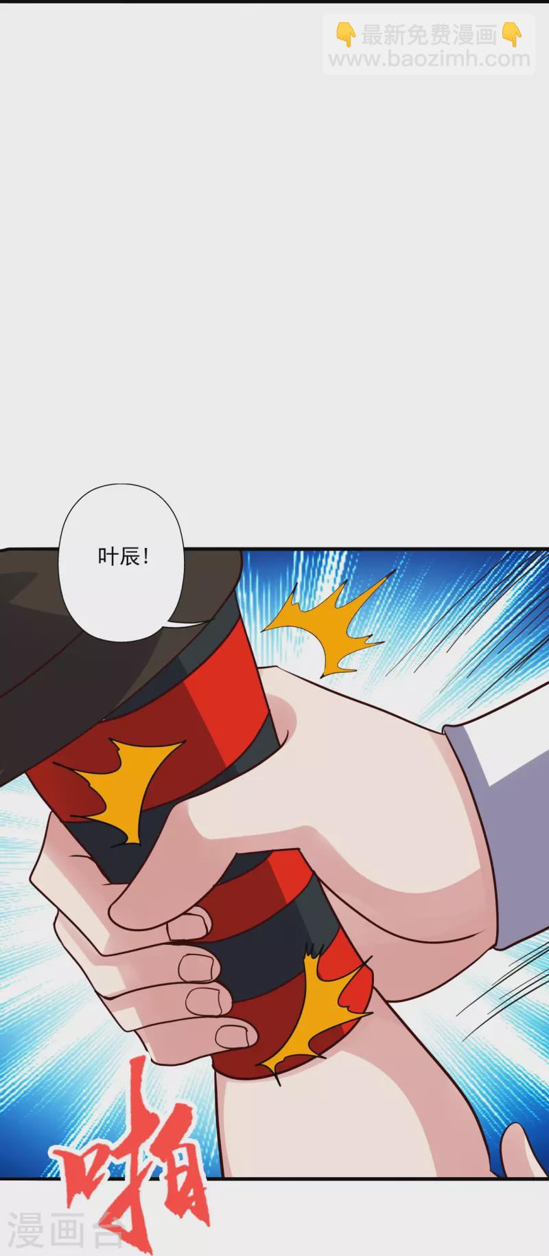 第309话 叶辰下山！83