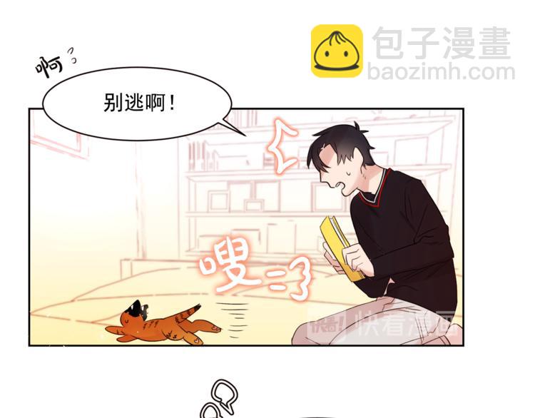 第4话 猫先生说41