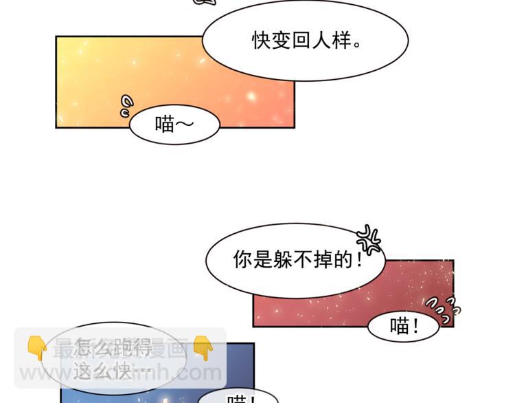 第4话 猫先生说42