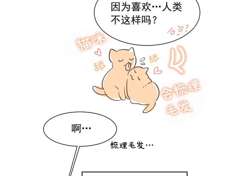 第4话 猫先生说74