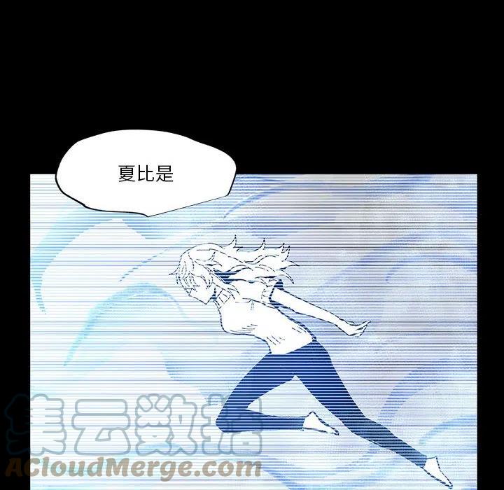 53116
