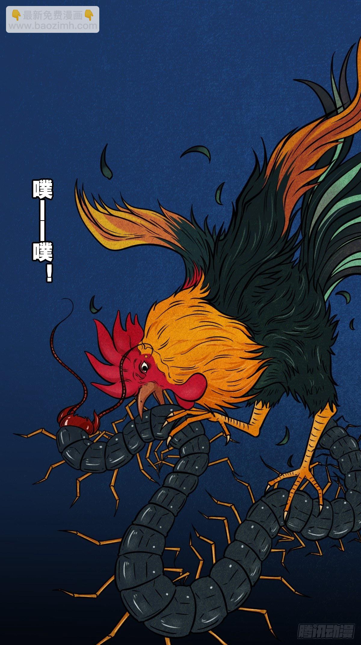讨封（下）28