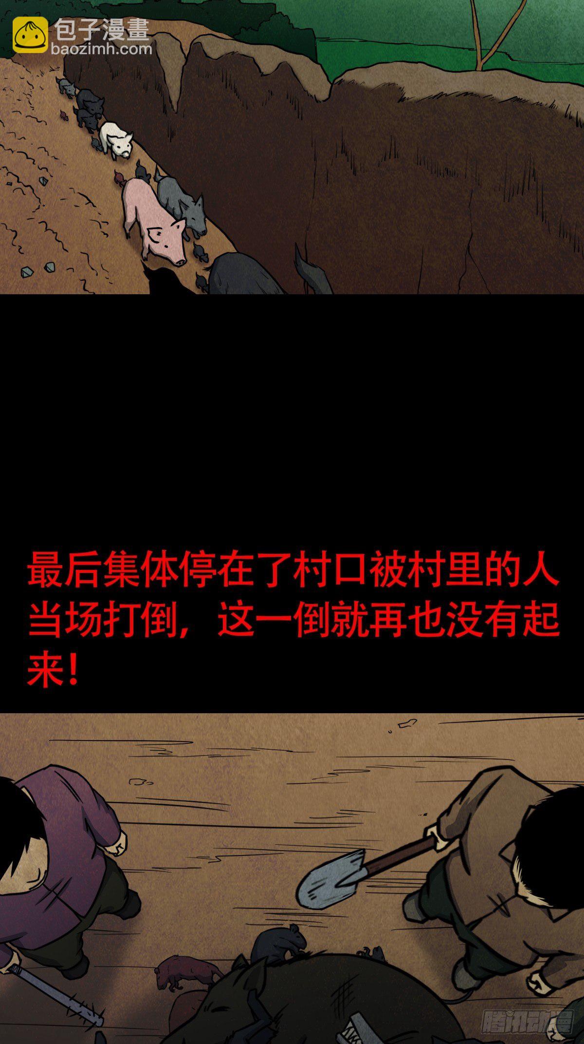 饕餮坑66