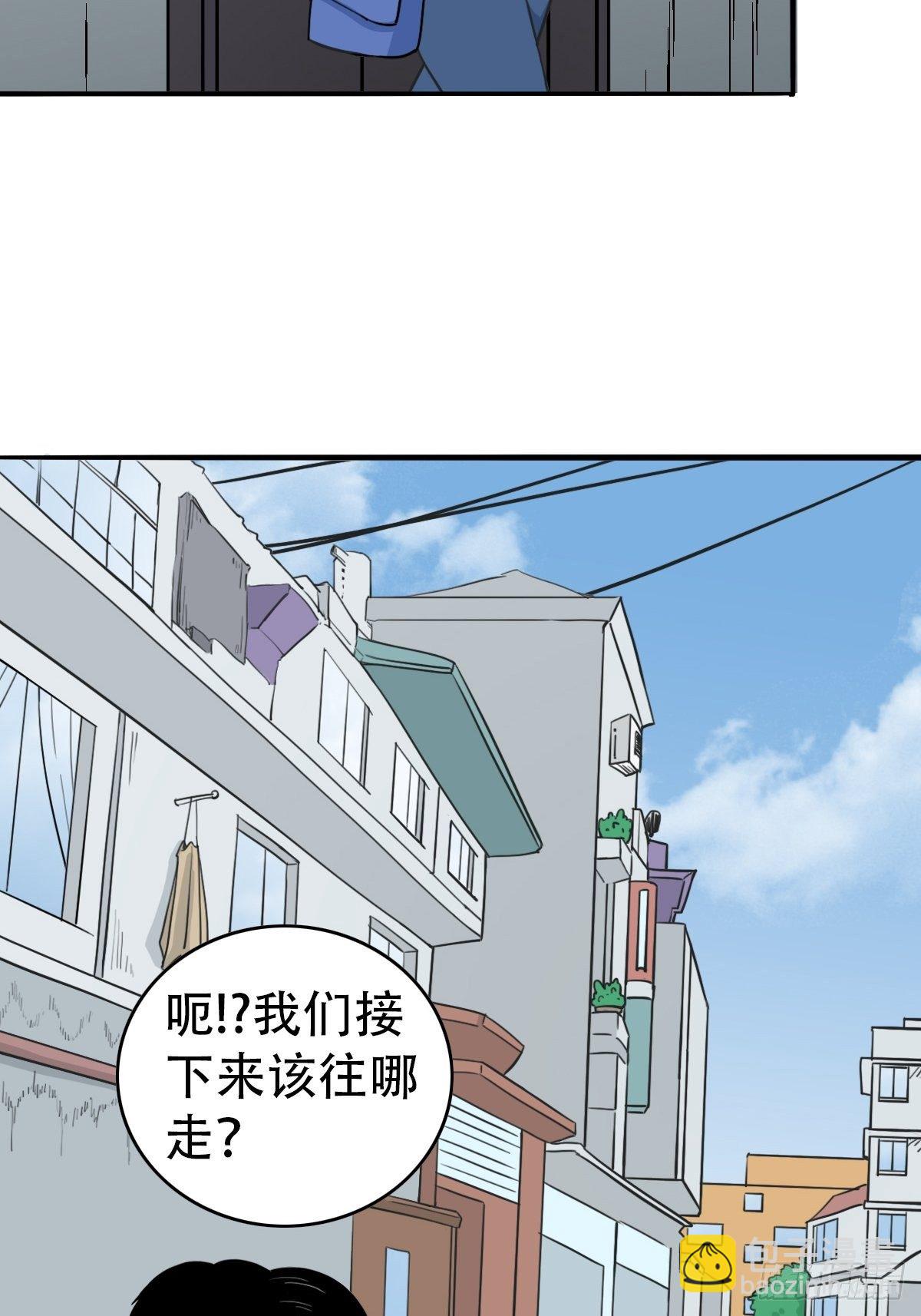 镶宝金蟾10