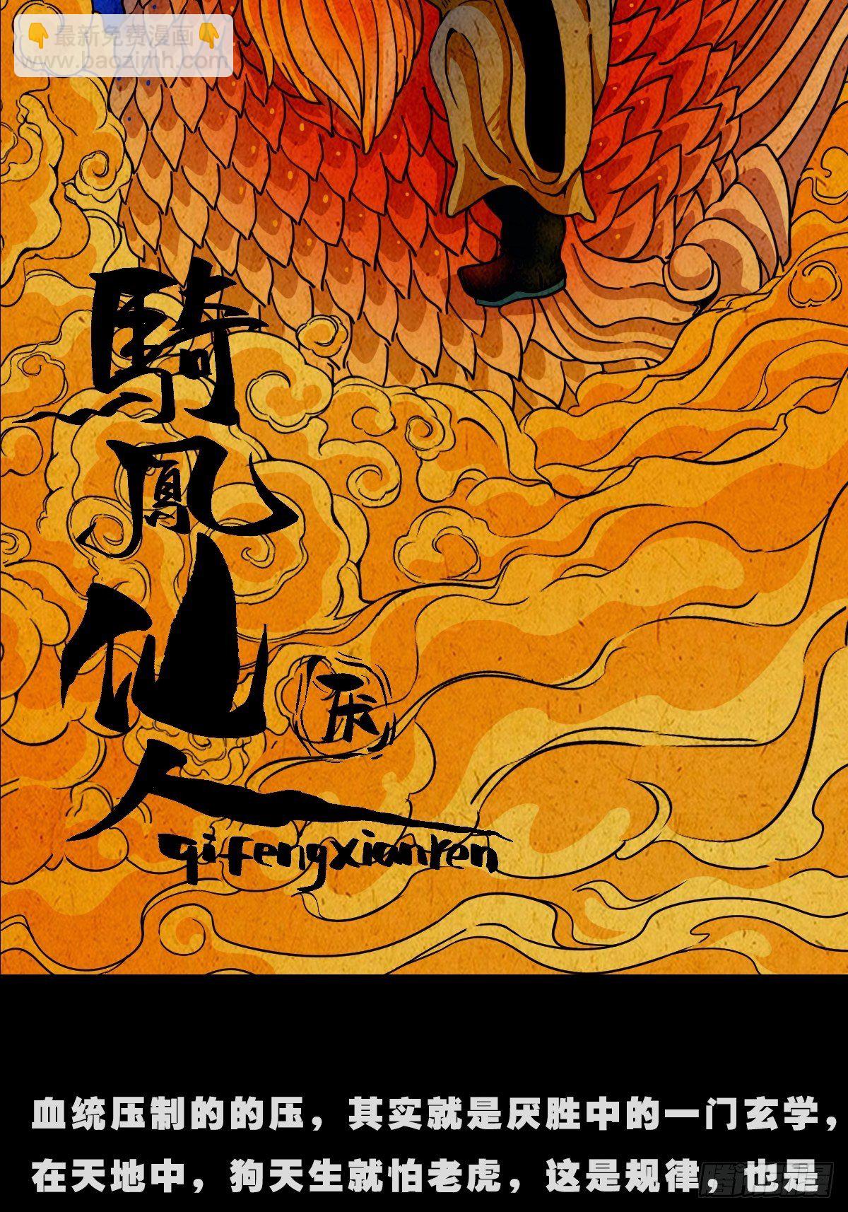 镶宝金蟾108