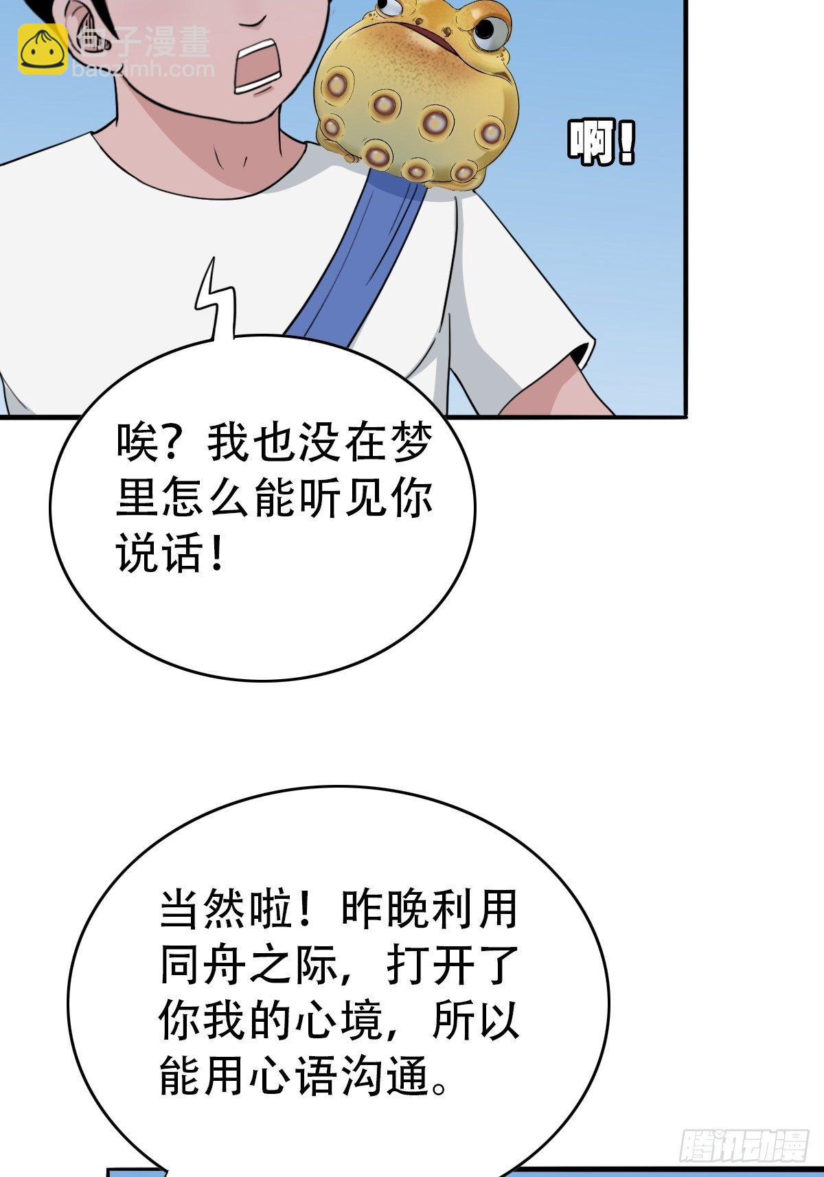 镶宝金蟾12