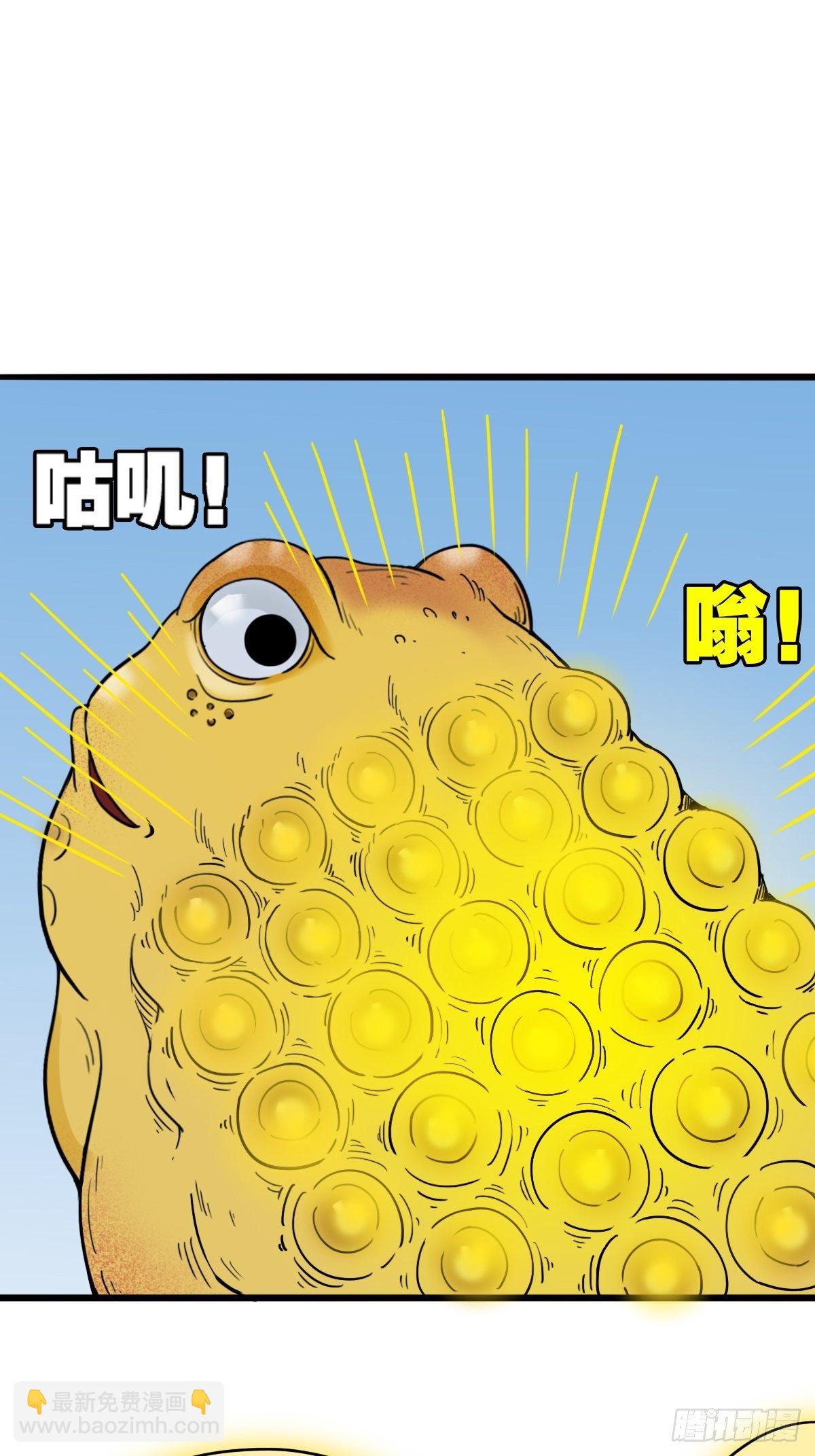 镶宝金蟾16