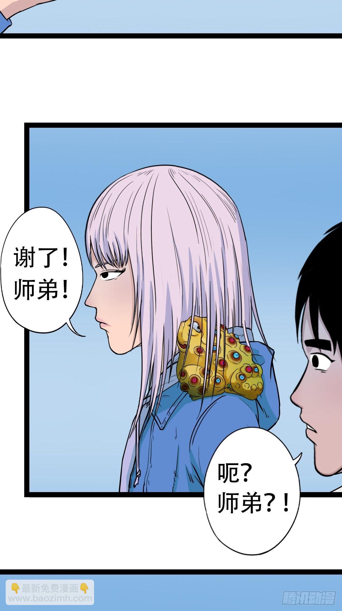 镶宝金蟾41