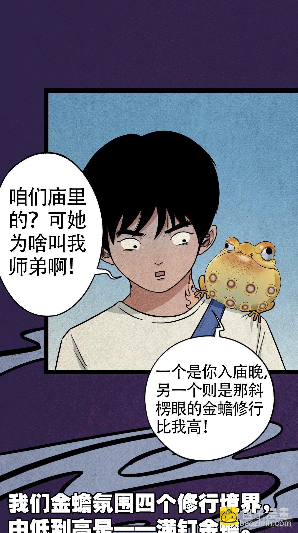 镶宝金蟾43