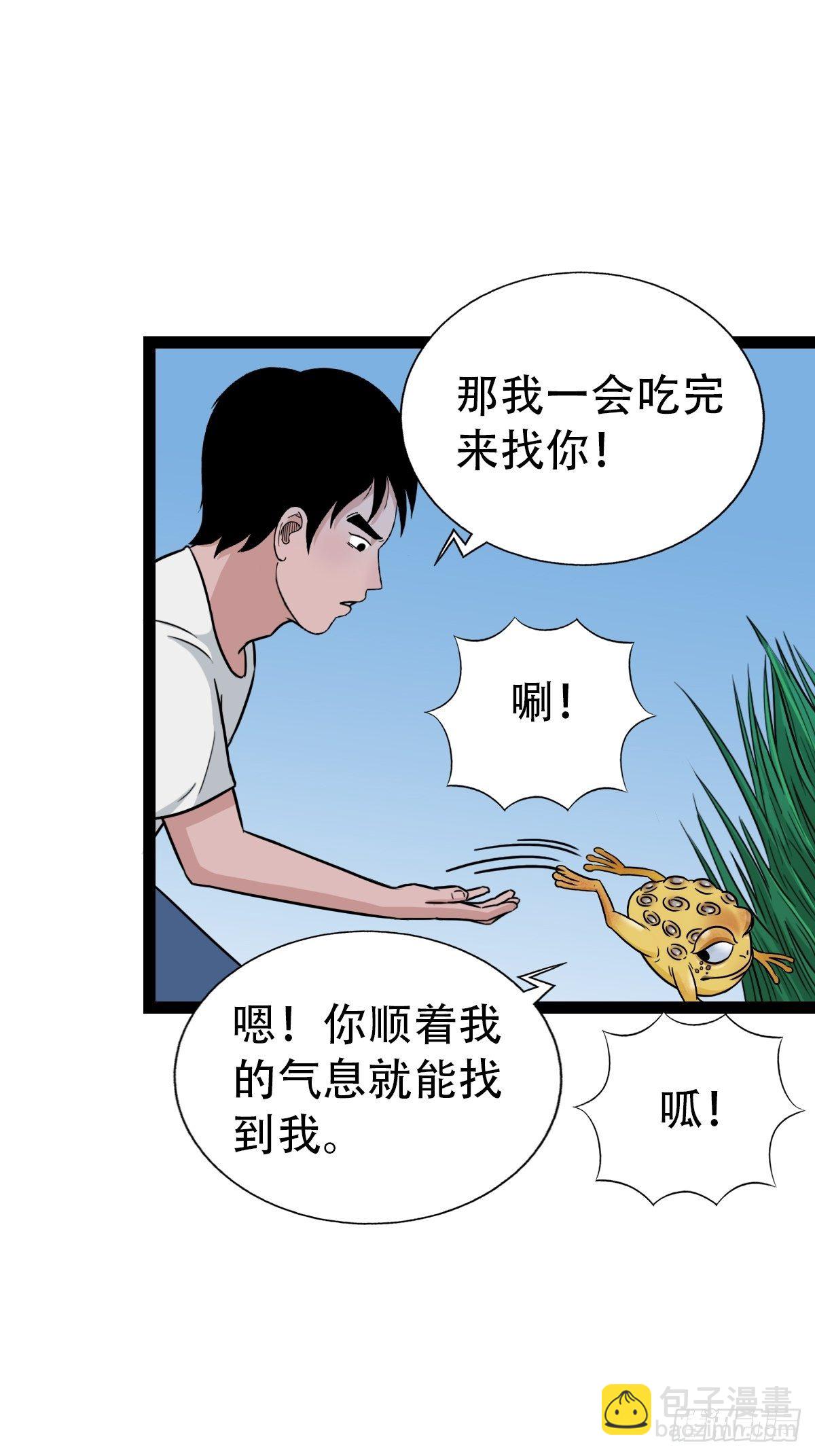 镶宝金蟾55