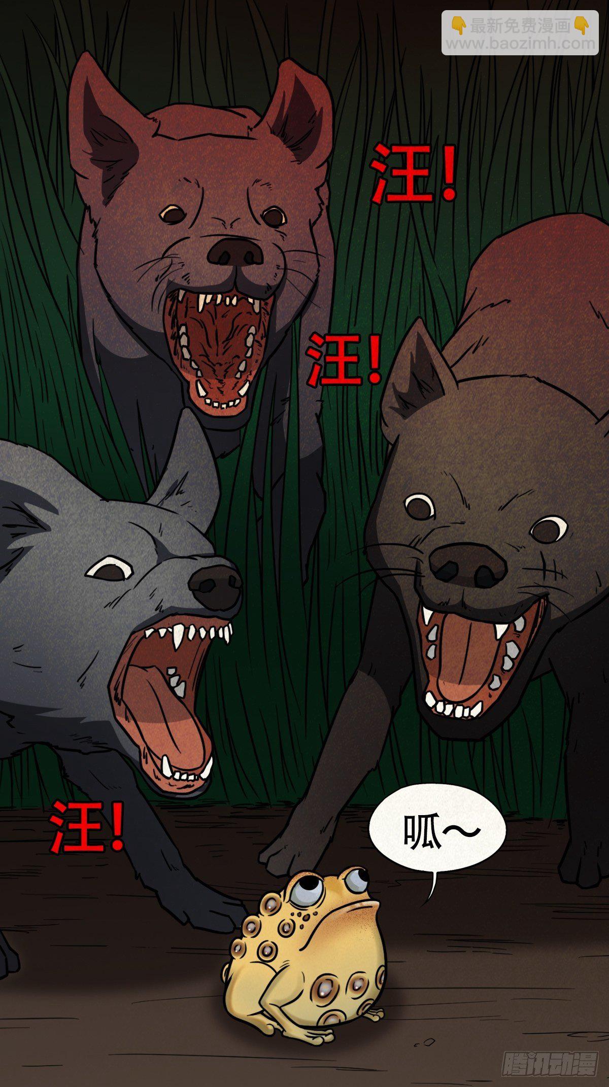 镶宝金蟾61