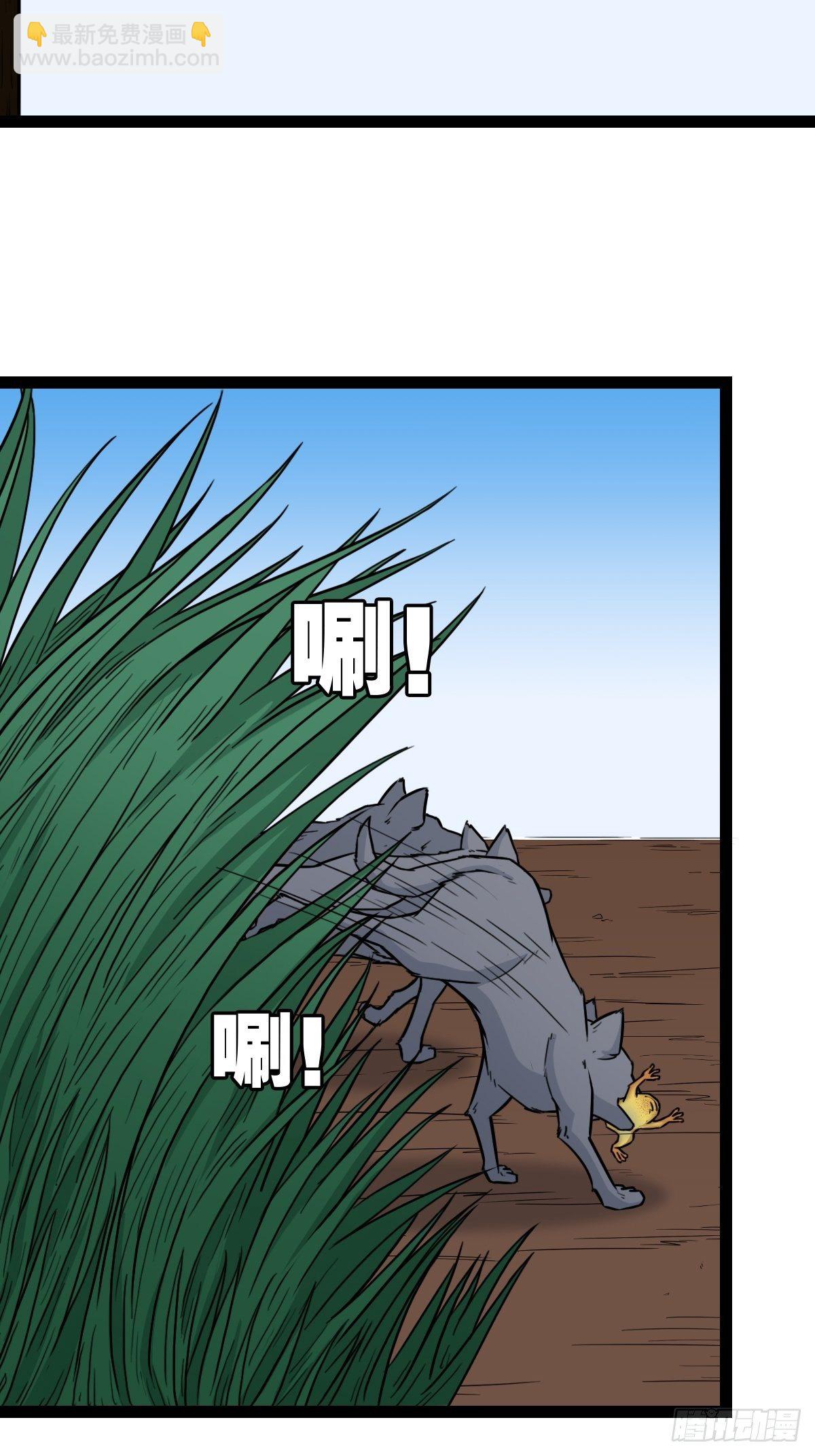 镶宝金蟾66