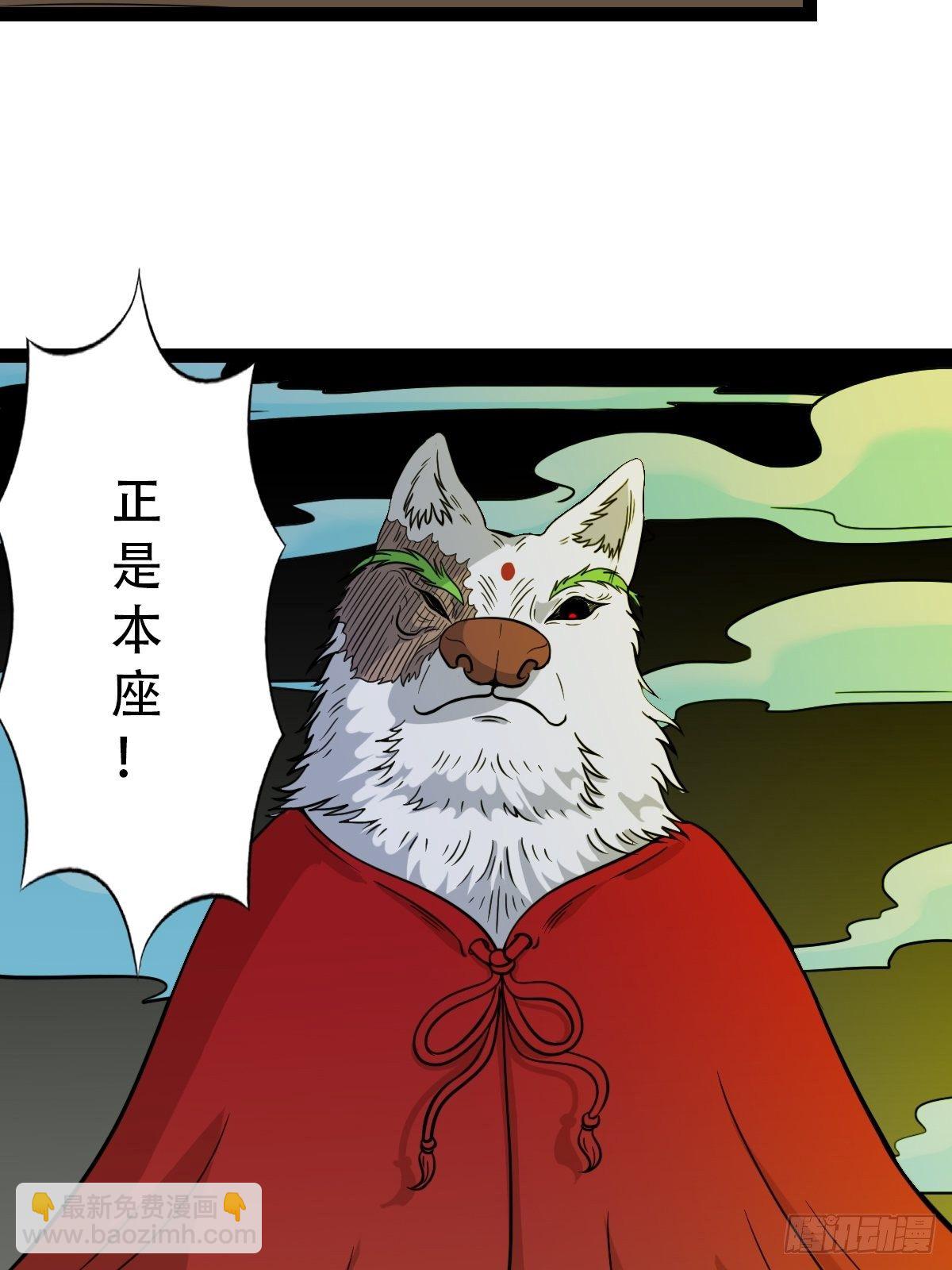镶宝金蟾76