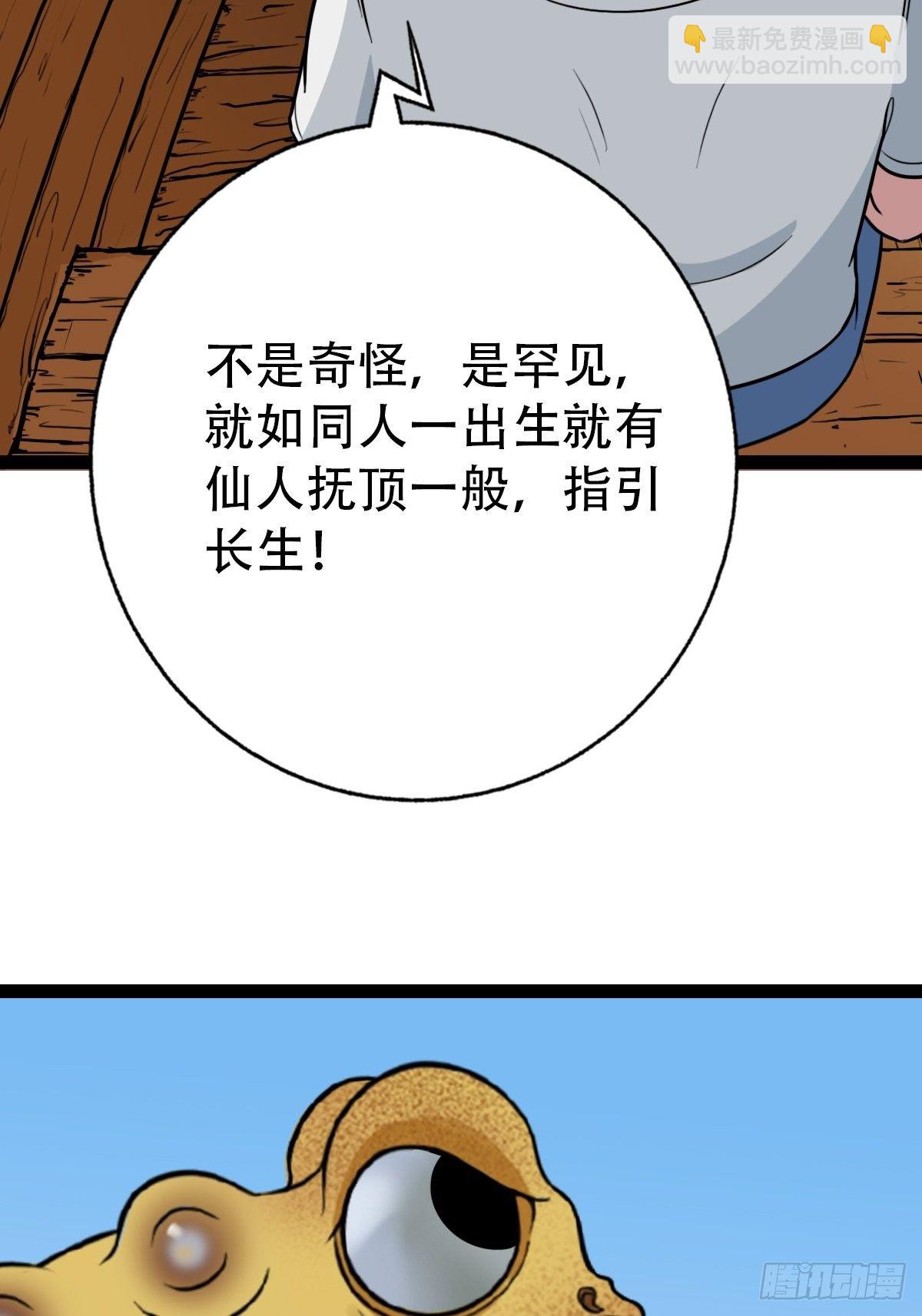 镶宝金蟾86