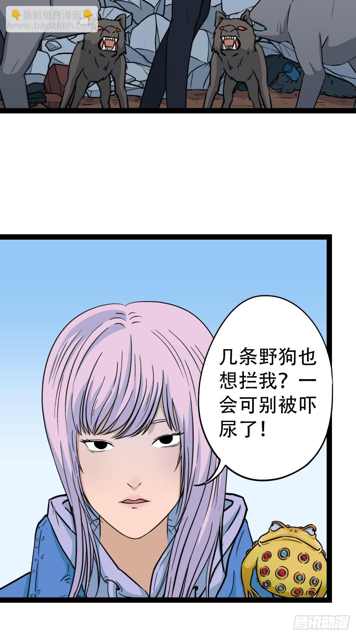 镶宝金蟾95
