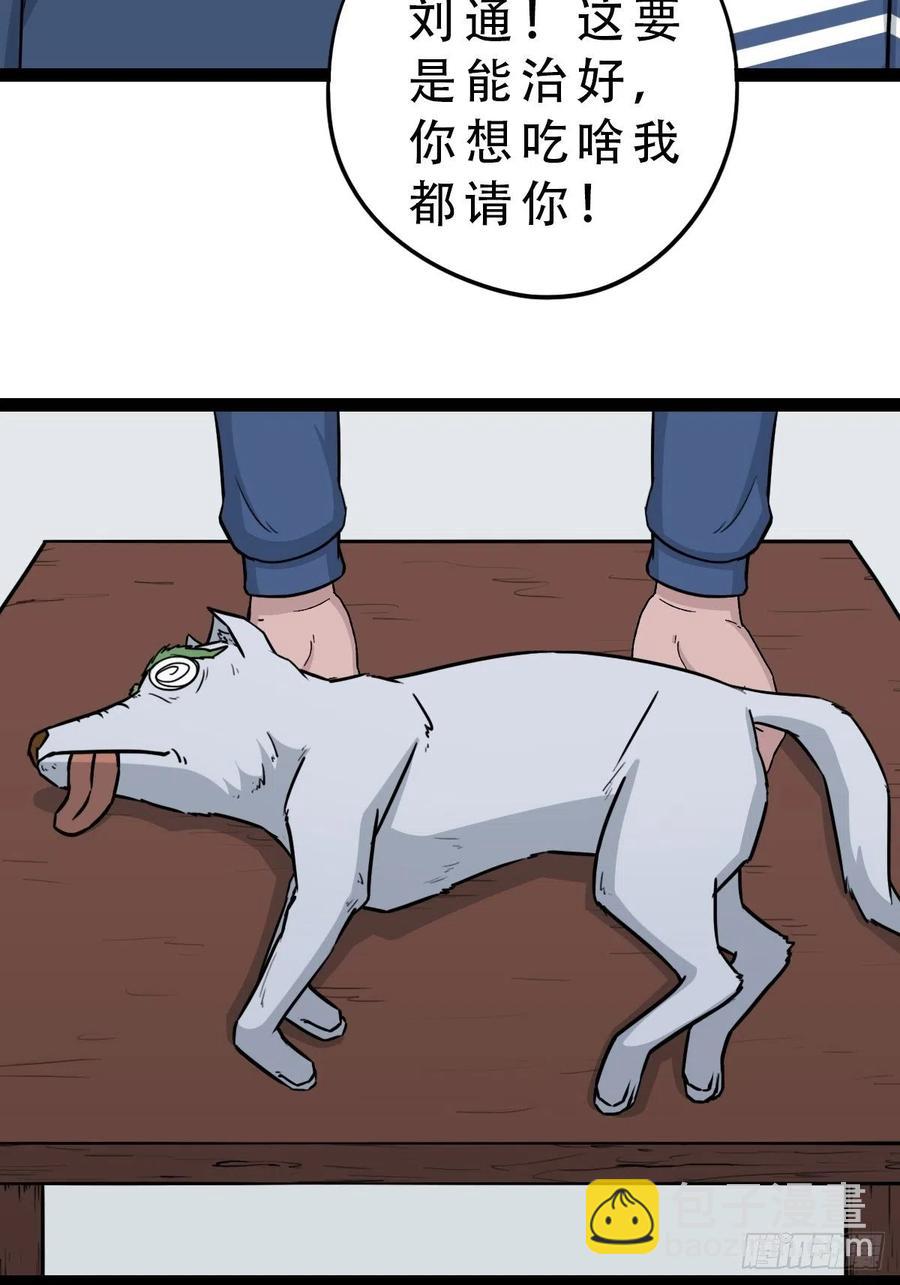 蛇吞蟾16