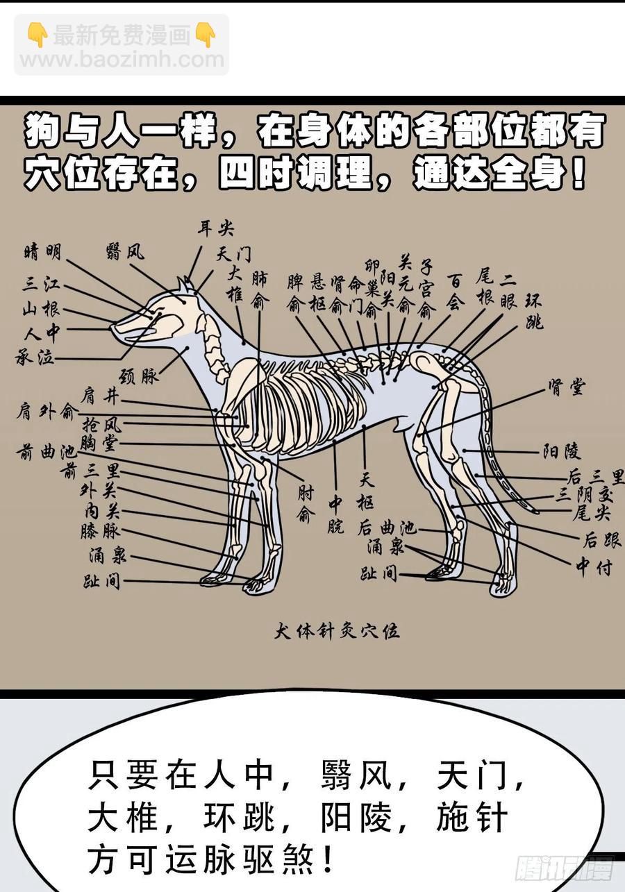 蛇吞蟾17