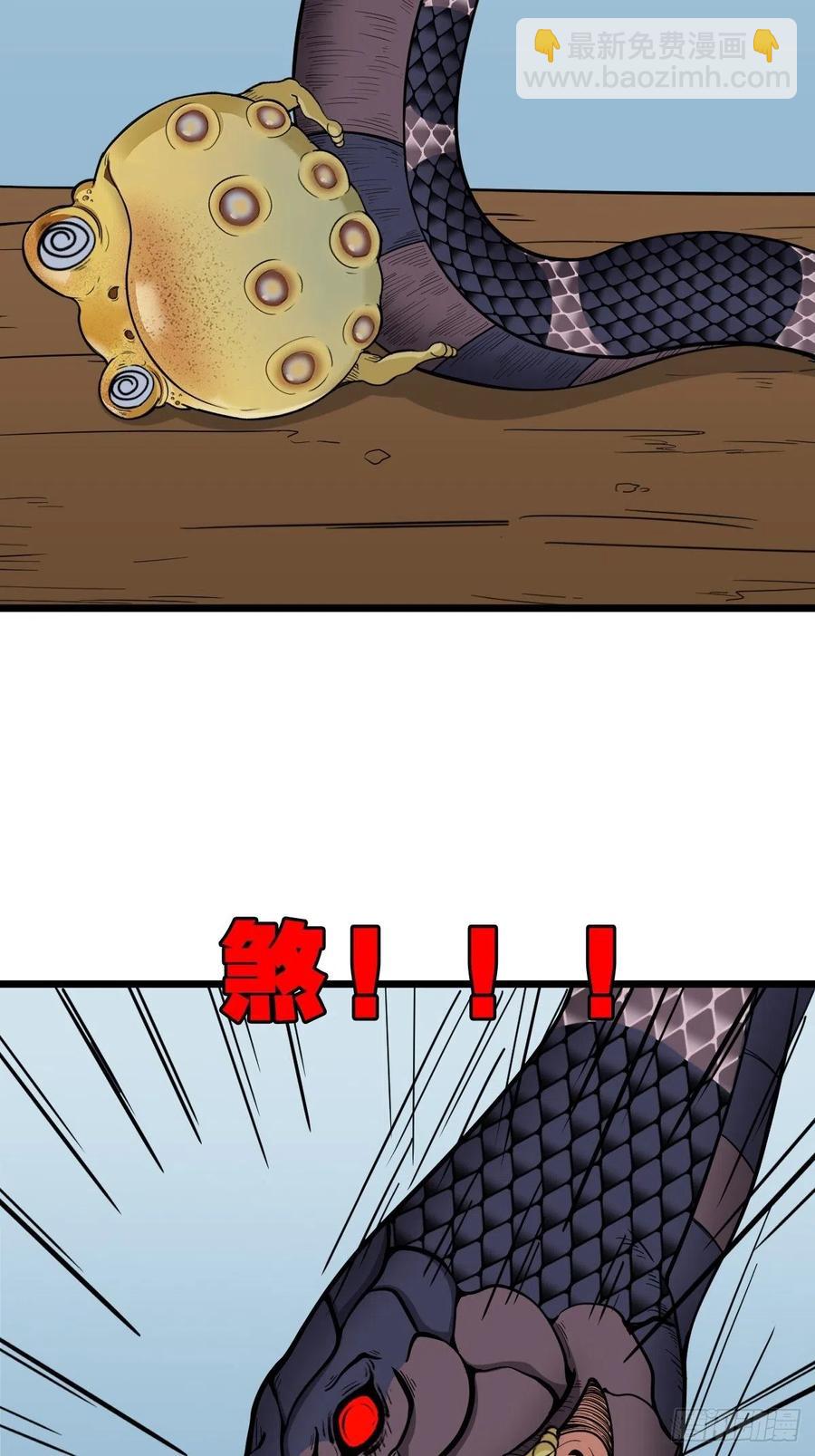 蛇吞蟾56