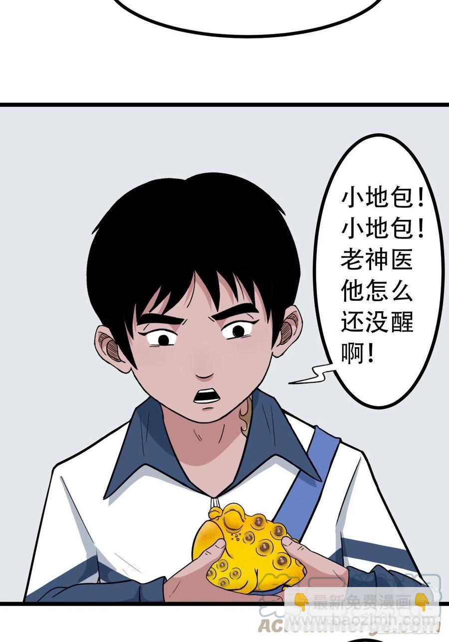 金蟾衣3