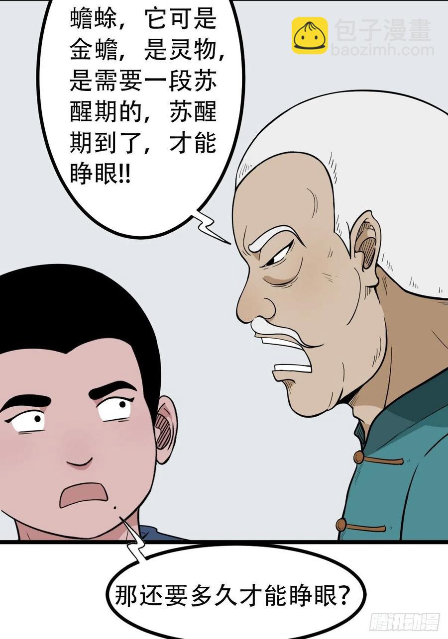 金蟾衣7