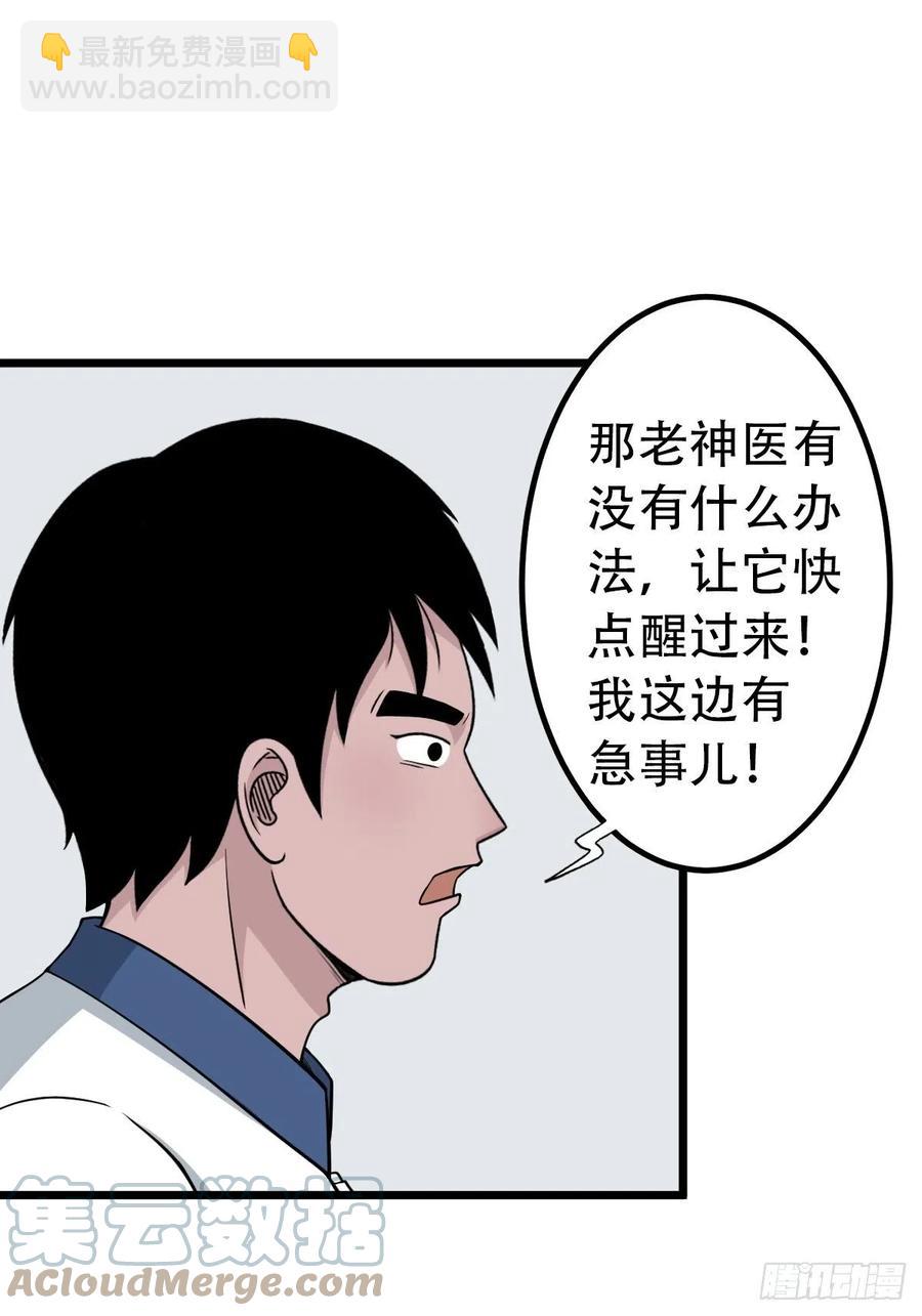 金蟾衣9