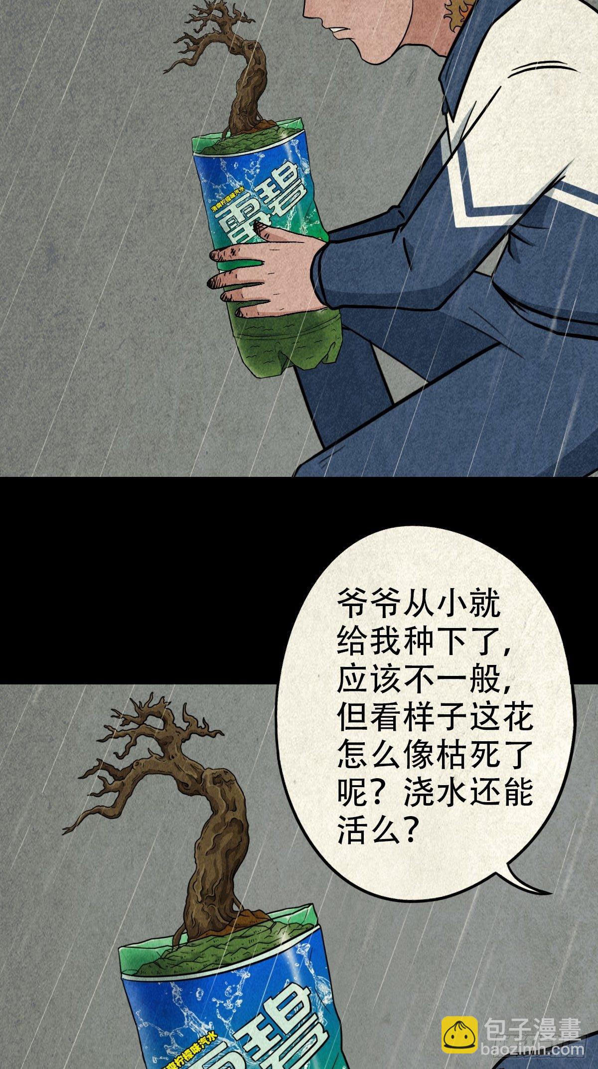 纳音十二运（上）18