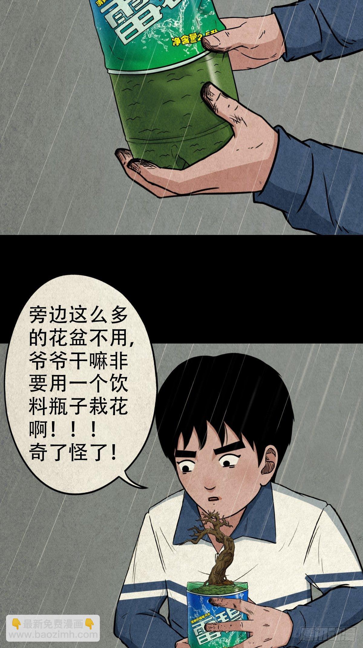 纳音十二运（上）19
