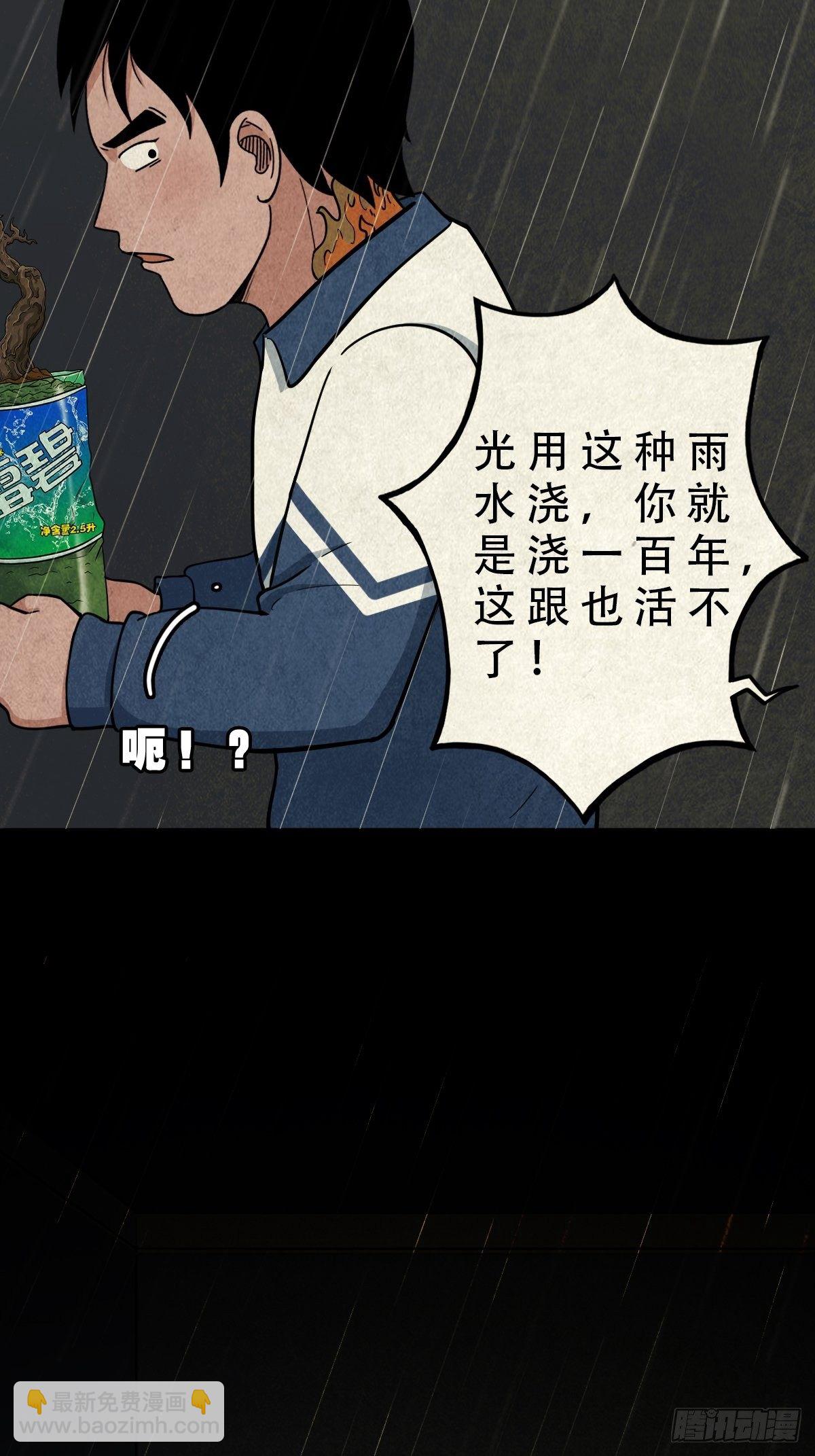 纳音十二运（上）23