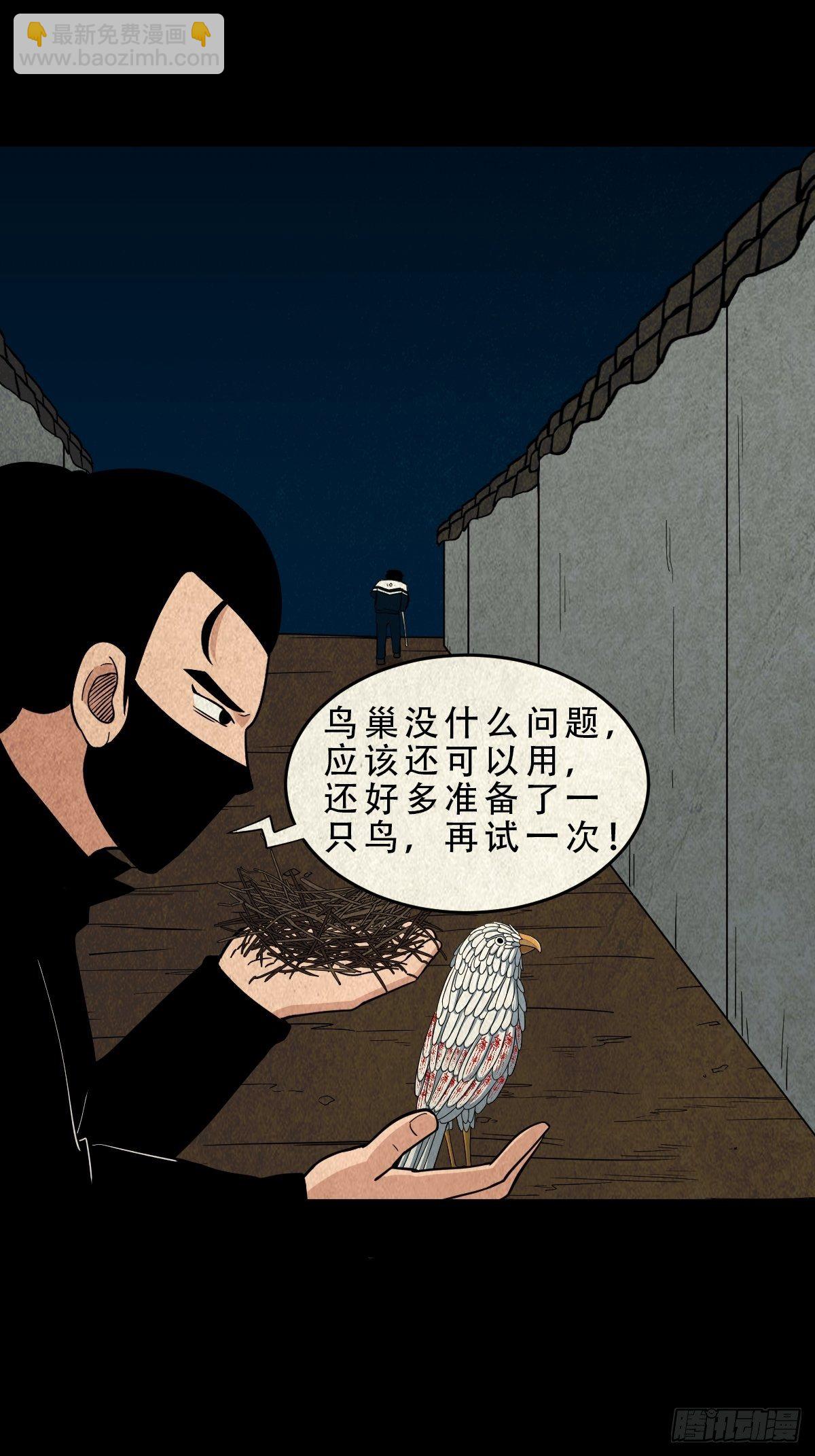 凶鸟焚巢24