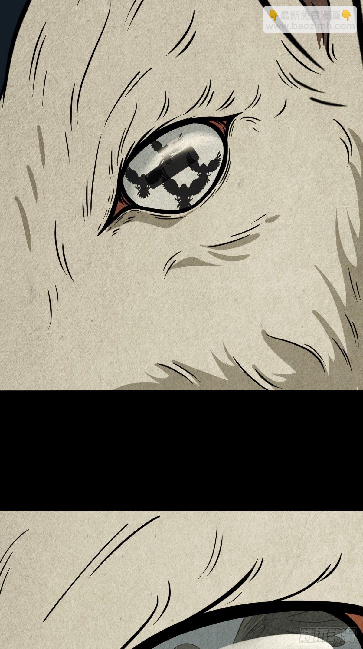 羊玺37