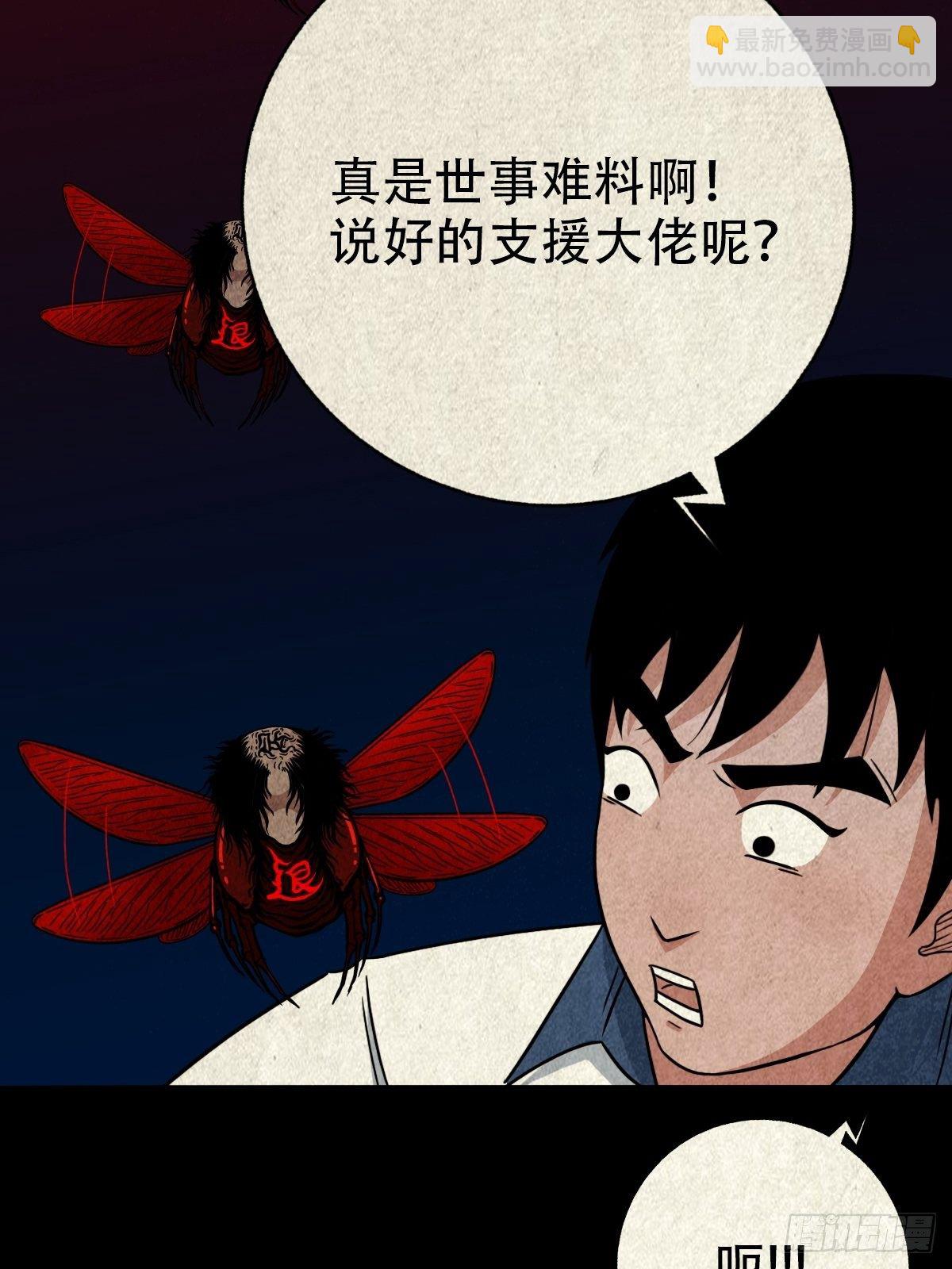 飞虎将军蟾12